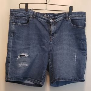 Style & Co Jean Distressed Shorts